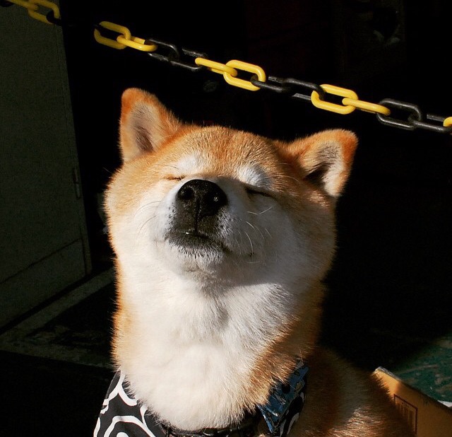 KPL战队队内语音曝光：战术指挥与团队氛围，kpl比赛队员交流录音